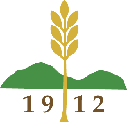 Mountain-Ridge-Logo
